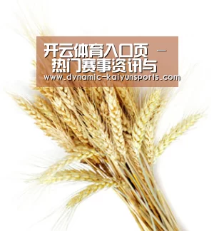 开云体育入口页 - 热门赛事资讯与直播导航 - 赛事同步
