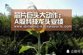 开云即时比分
