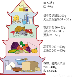 开云体育官网