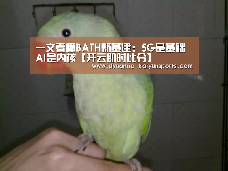 一文看懂BATH新基建:5G是基础 AI是内核【开云即时比分】(图4) 开云体育官网