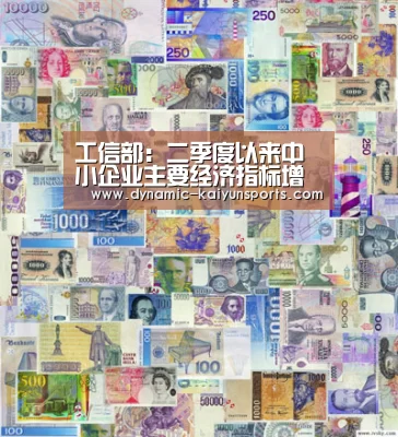 工信部：二季度以来中小企业主要经济指标增速均由负转正【开云体育官网】(图1)