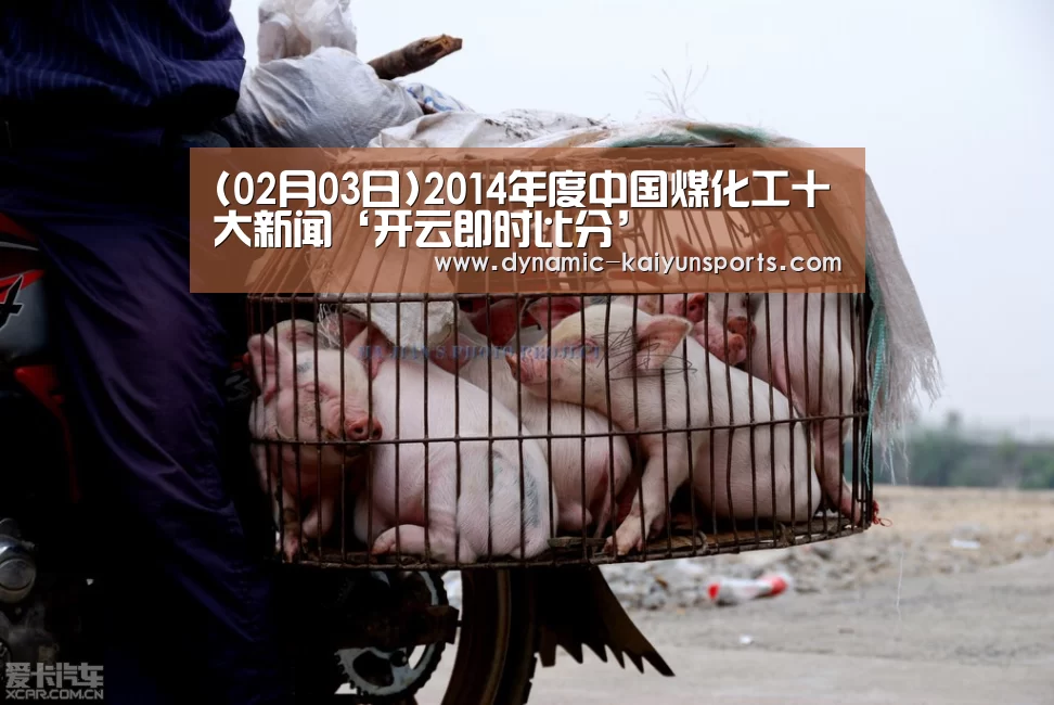 (02月03日)2014年度中国煤化工十大新闻‘开云即时比分’(图1) 开云体育官网