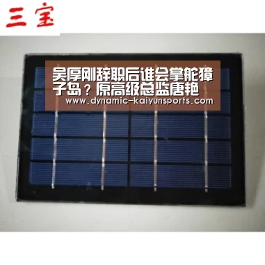 吴厚刚辞职后谁会掌舵獐子岛?原高级总监唐艳任董事长兼总裁【开云即时比分】(图2) 吴厚刚辞职后谁会掌舵獐子岛?原高级总监唐艳任董事长兼总裁【开云即时比分】(图2)