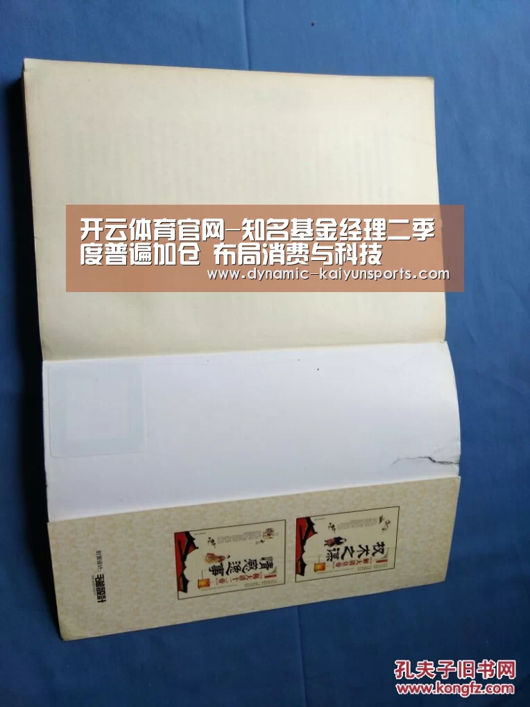 开云体育官网