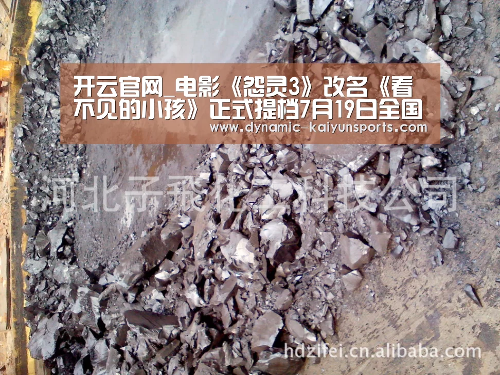 开云体育官网