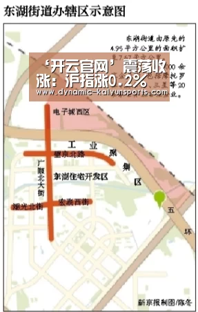 ‘开云官网’震荡收涨：沪指涨0.2% 两市成交连续14天超万亿元(图3)