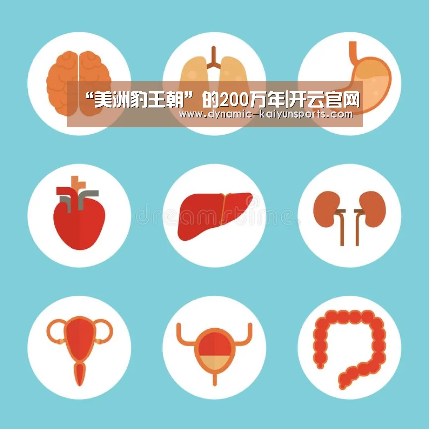 开云官网