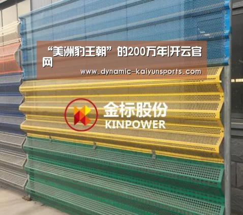 开云即时比分