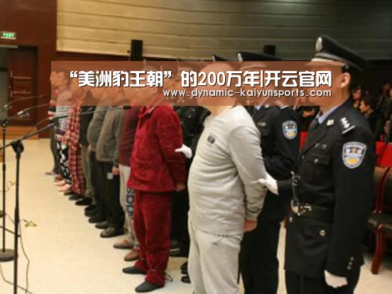 开云体育官网