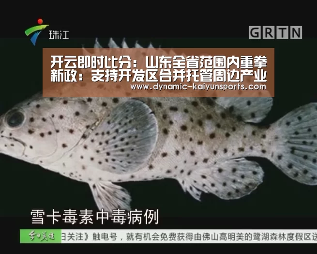 开云即时比分:山东全省范围内重拳新政:支持开发区合并托管周边产业园区!(图2) 开云官网